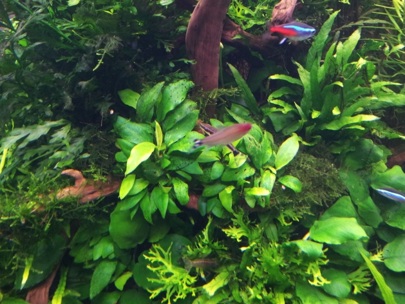 2012-10-31 19.23.39.jpg