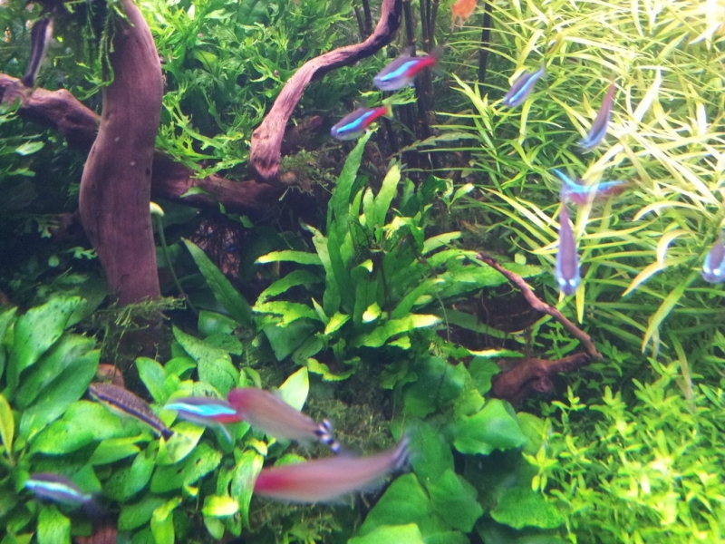 2012-10-31 19.23.45.jpg
