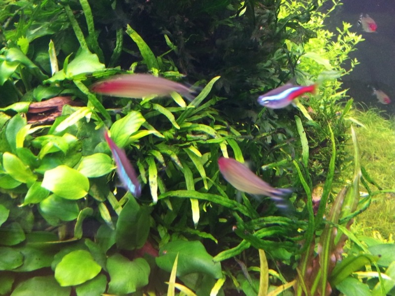 2012-10-31 19.25.49.jpg