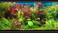 375 l - low tech - przed zmianami