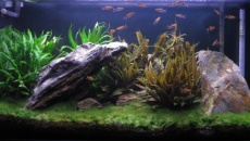 [200L] Dwie wyspy (low-tech)