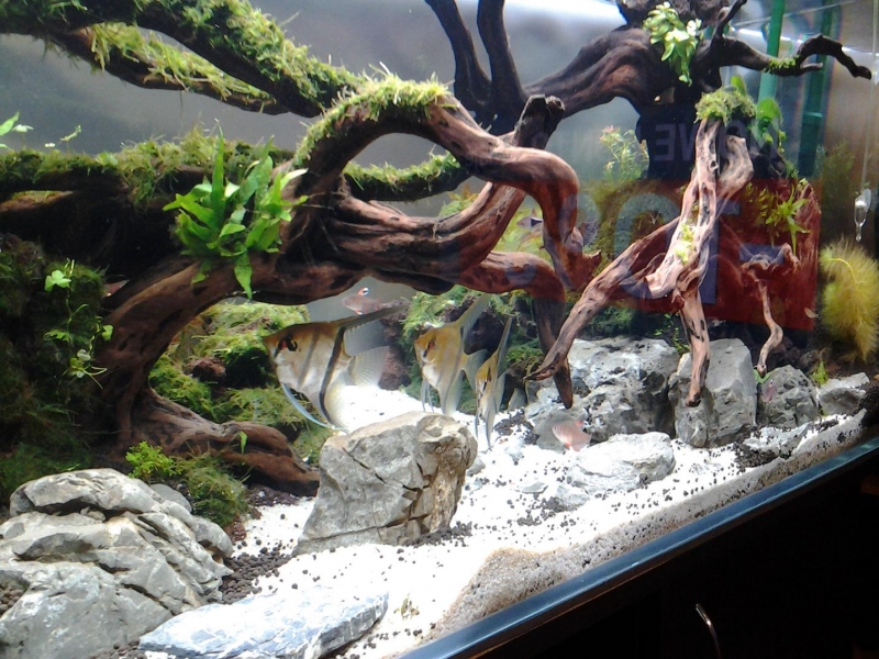 20121113_145535.JPG