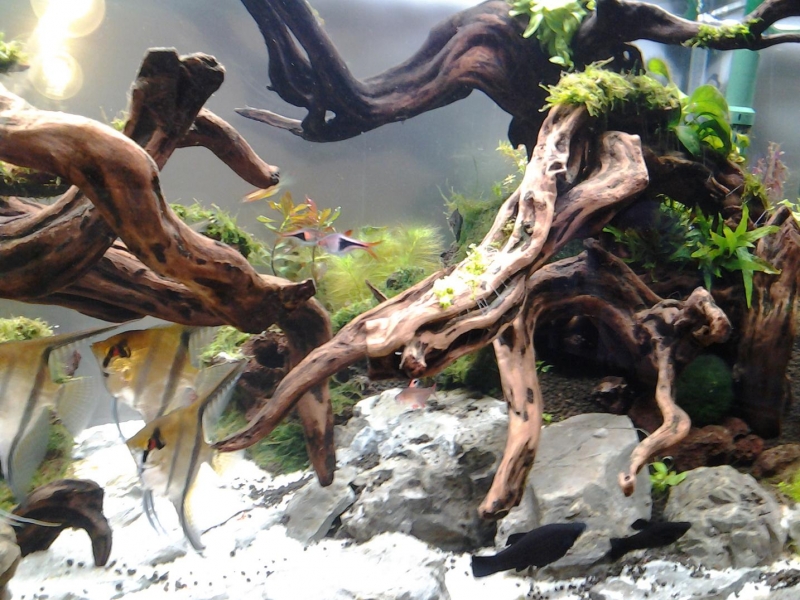 20121113_145404.JPG