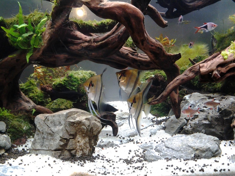 20121113_145350.JPG
