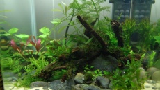 15l - LowTech - Qiubi
