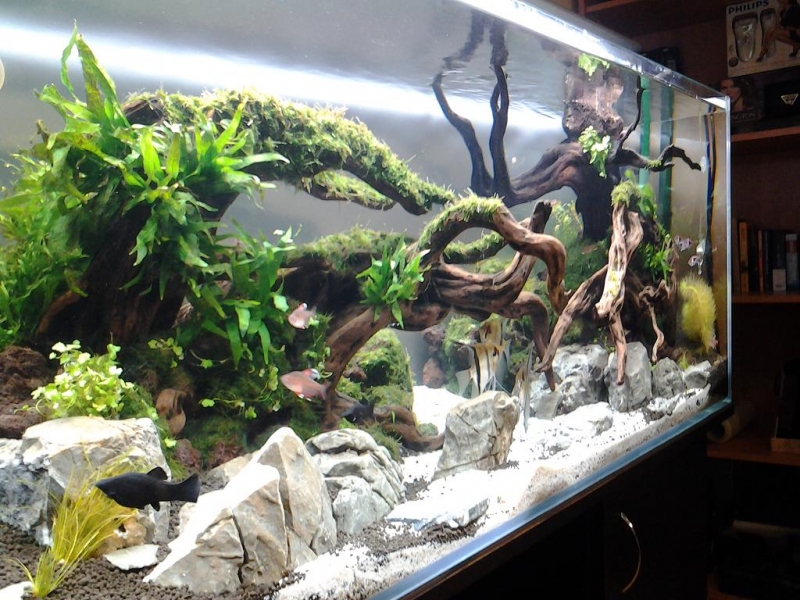 20121113_145329.JPG