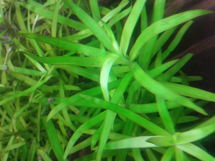 2012-11-19 19.40.29.jpg