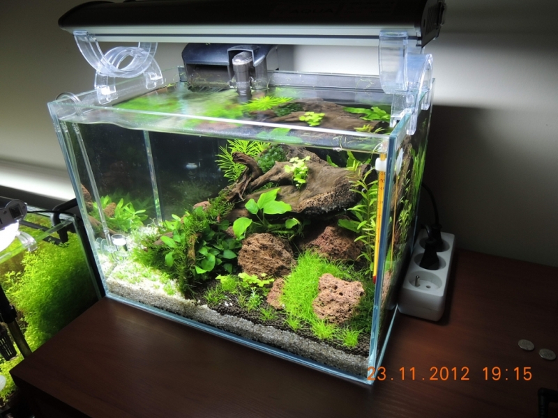 20L2.jpg
