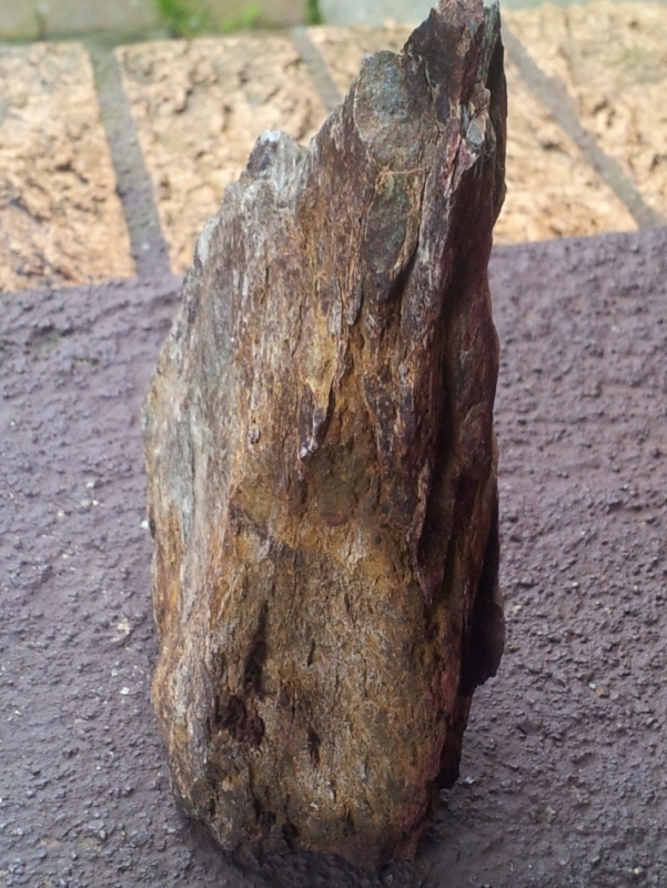 20121125_131602.jpg