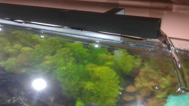 2012-12-19 21.50.21.jpg