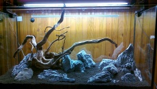 200l - Pierwsze Nature - Marcin H.