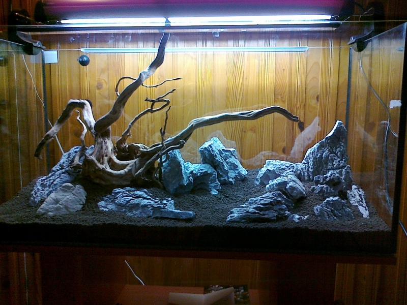 20121221085.jpg