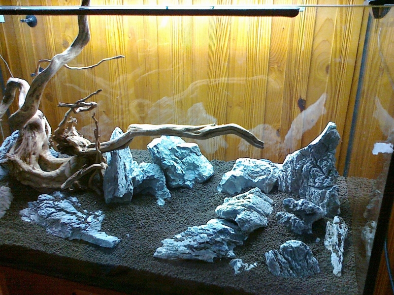 20121221084.jpg