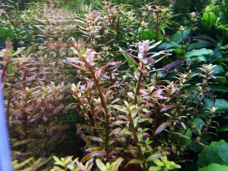 2012-12-25 18.08.50.jpg