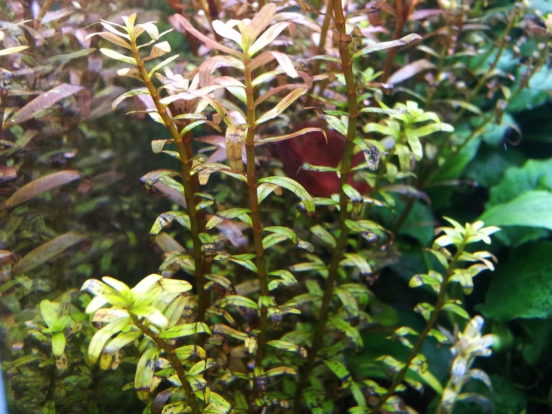 2012-12-25 18.08.37.jpg