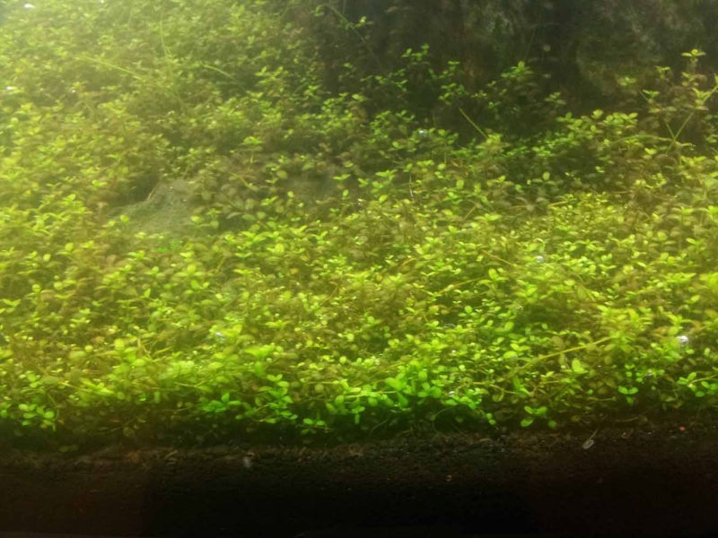 20130104_191025.jpg