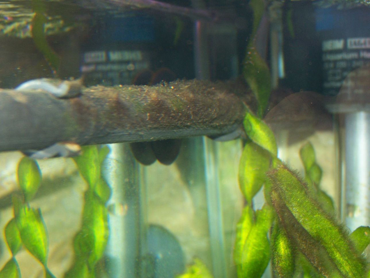 100_7036.JPG