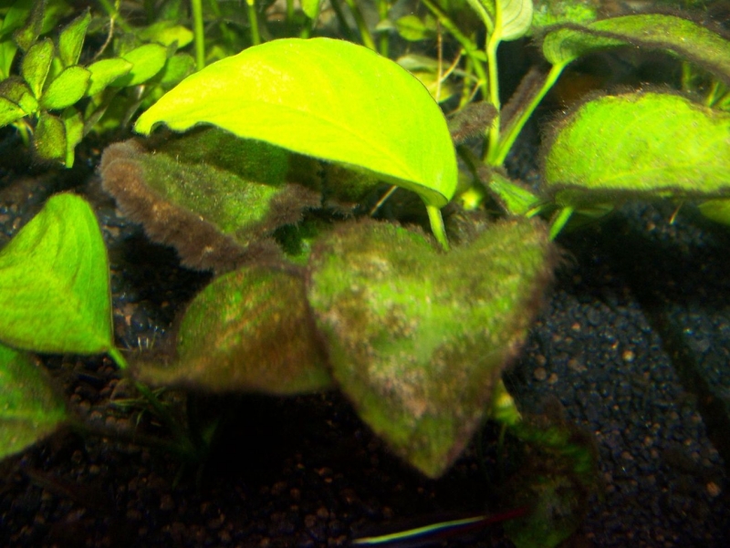 100_7022.JPG