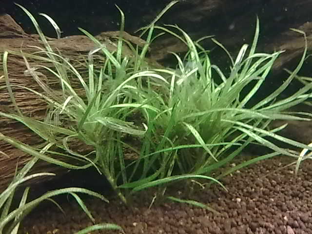 060220131301.jpg