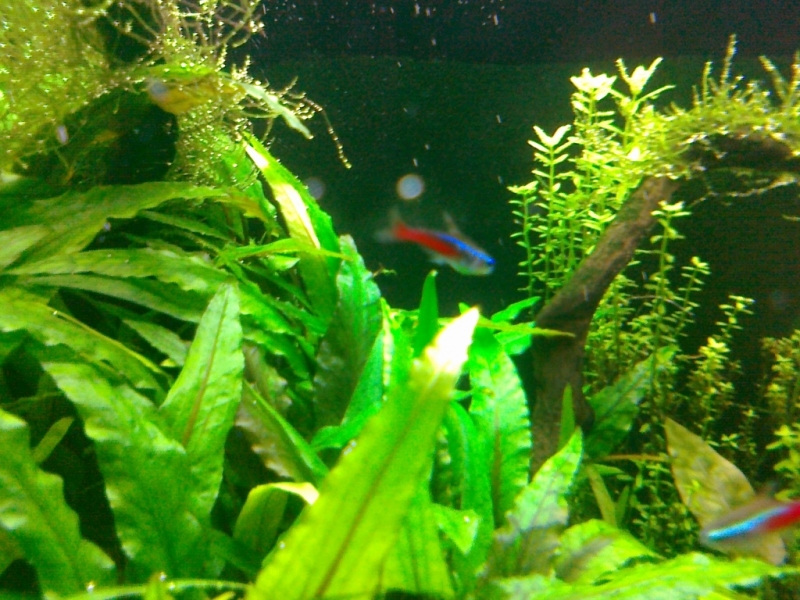 20130210007.jpg