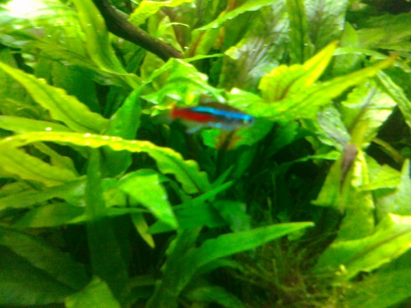 20130210006.jpg