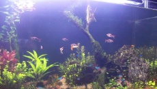 250l - Mateusz J
