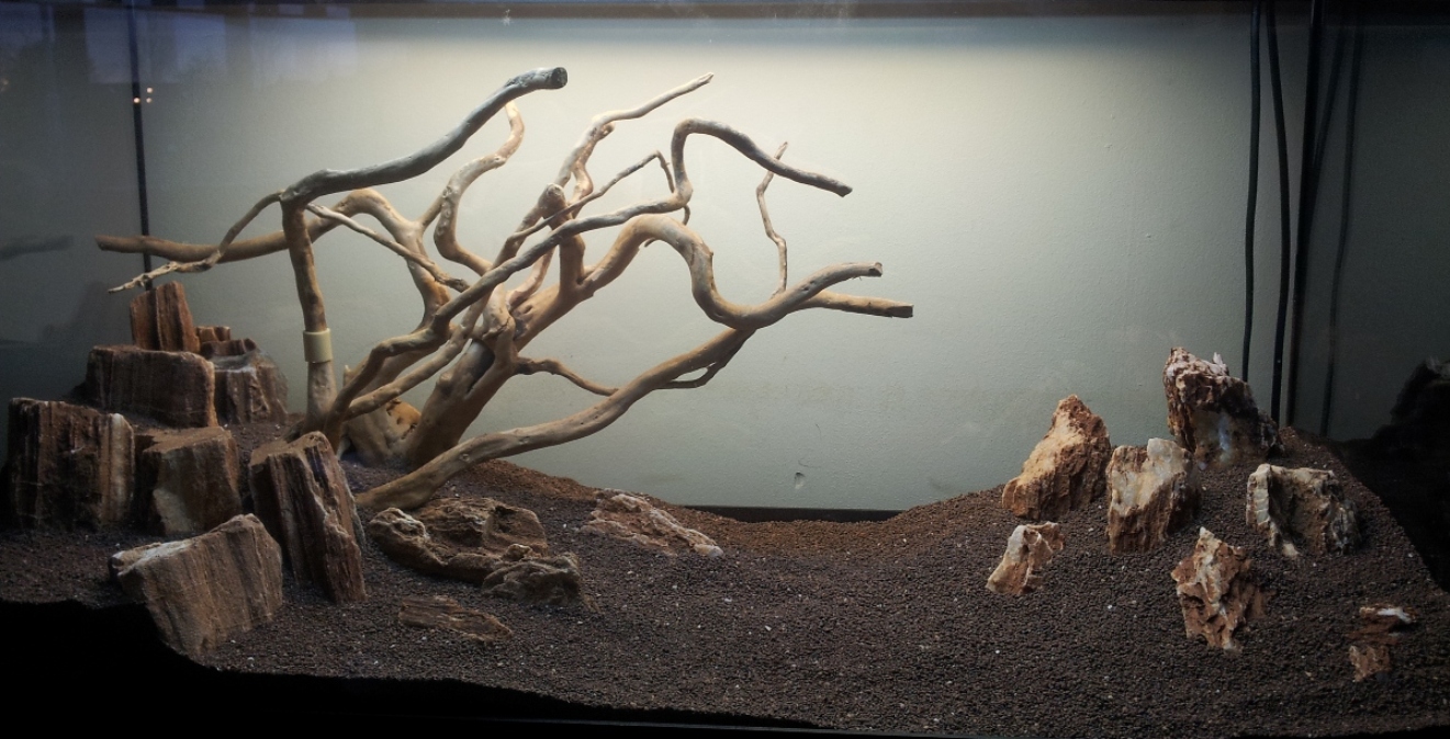 20130217_171116.jpg