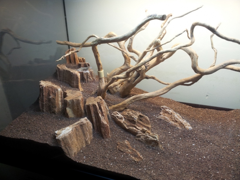 20130217_171132.jpg