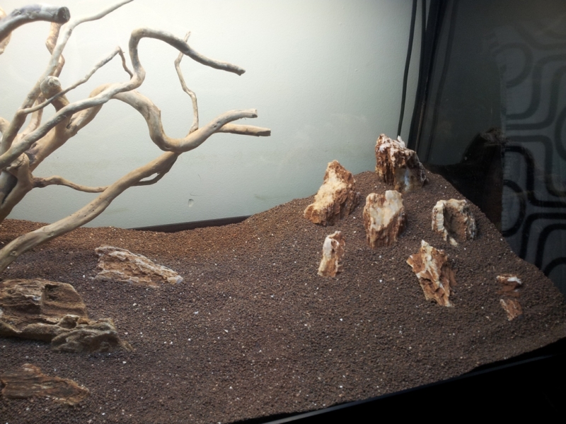 20130217_171139.jpg