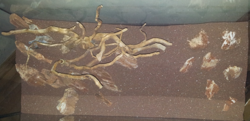 20130217_171245.jpg