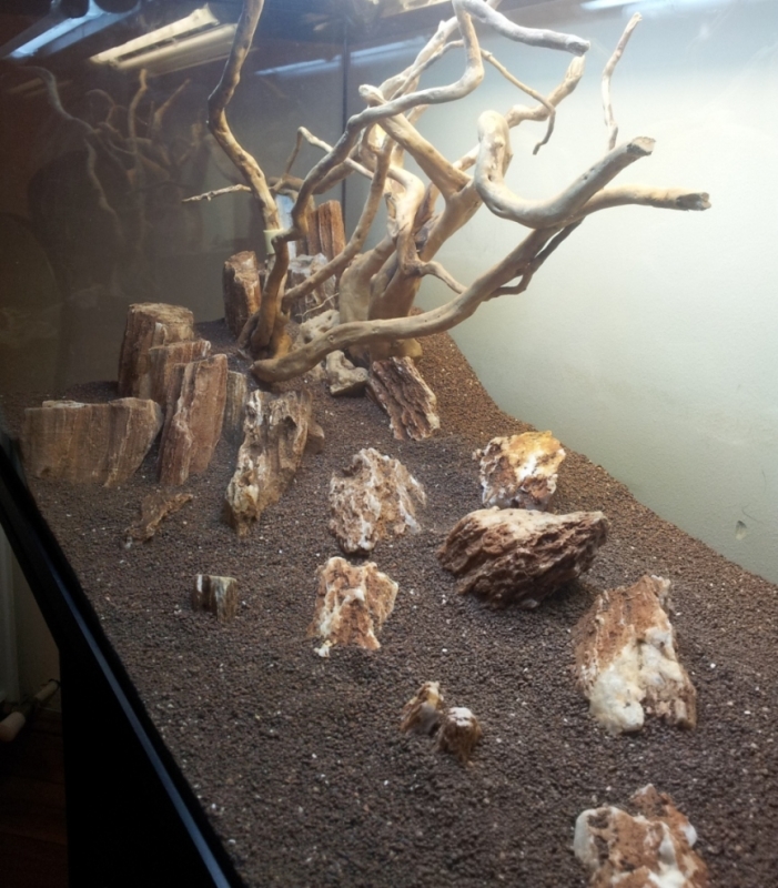 20130217_203600.jpg