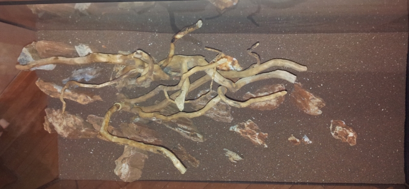 20130217_203423.jpg
