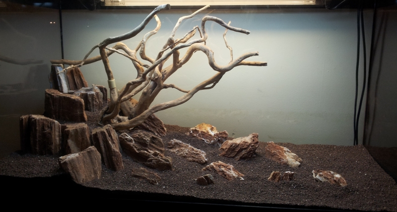 20130217_203536.jpg