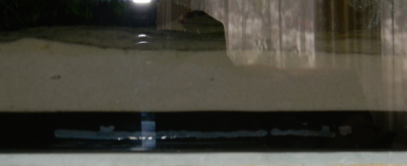 13,5cm-001.JPG