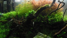 200l - Pierwsze Nature - Marcin H.