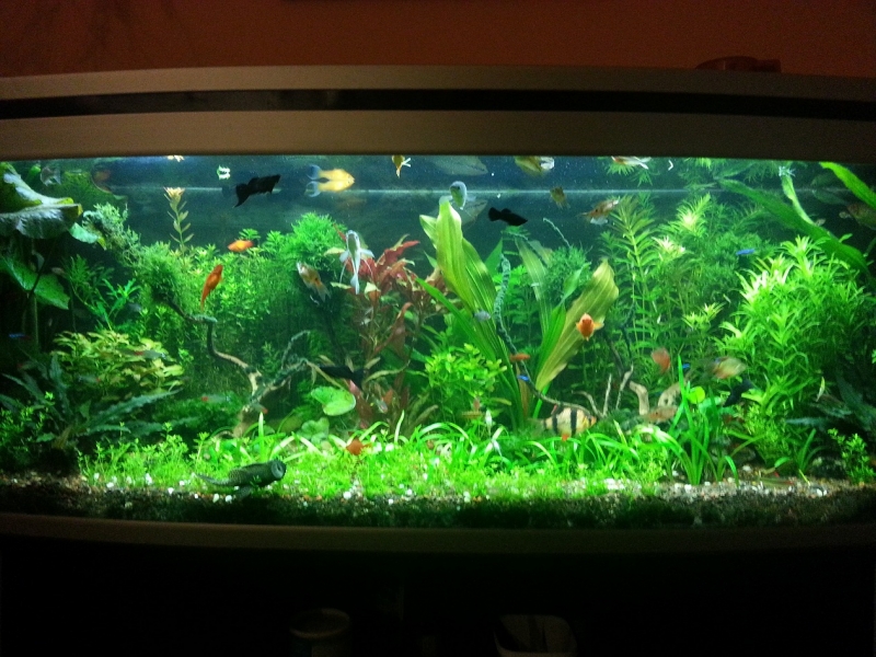 20130219_202731.jpg