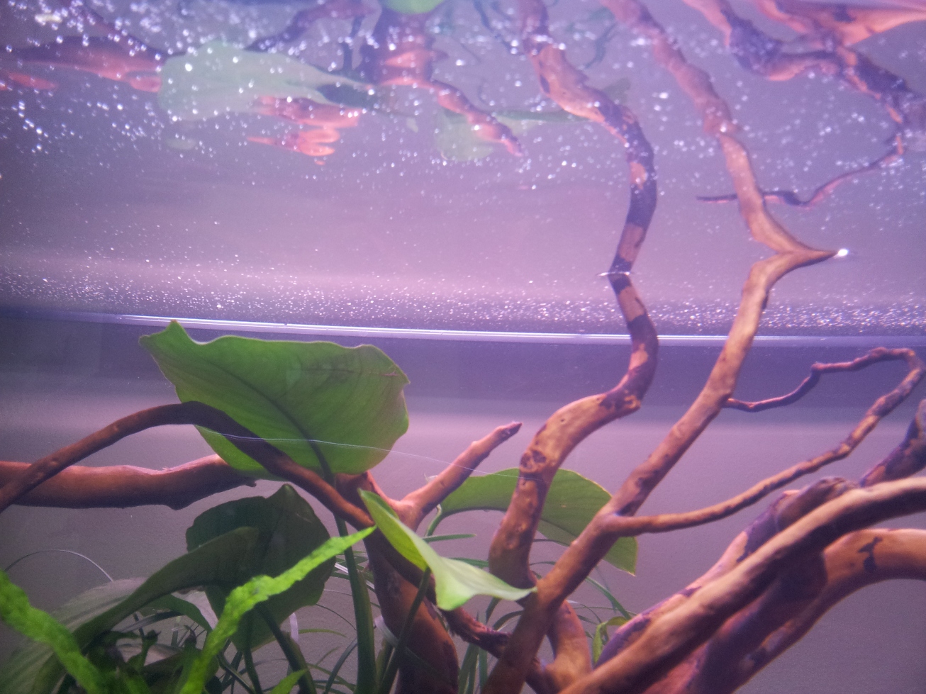 20130302_132612.jpg