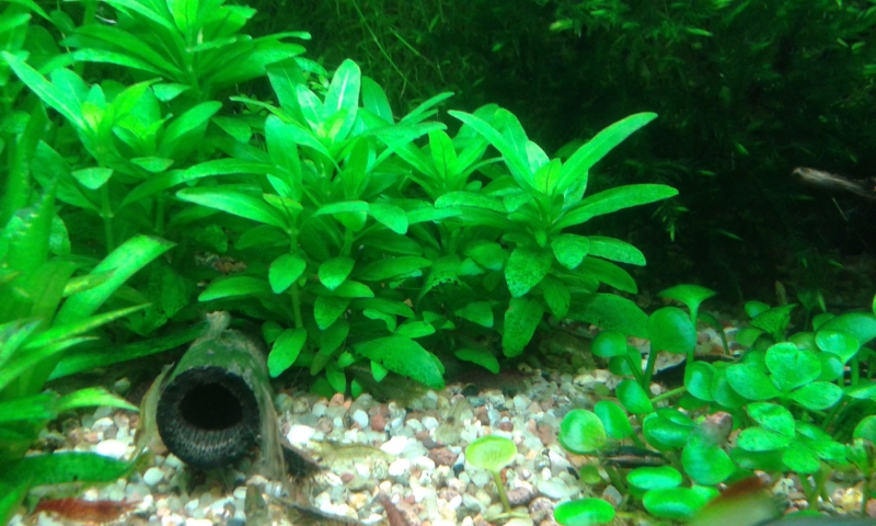 20130302_195508.jpg