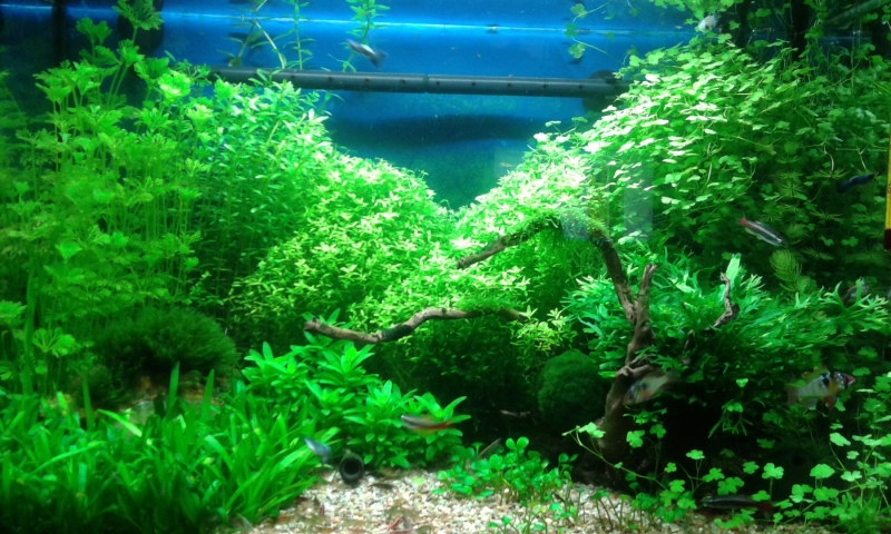 20130302_195421.jpg