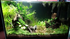 25l - Schoko Galaxy