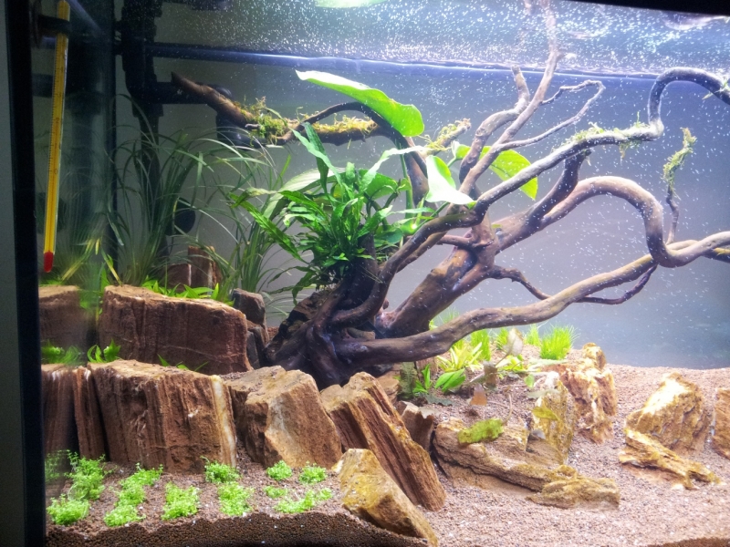 20130321_141055.jpg