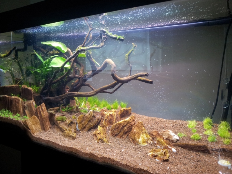 20130321_141041.jpg