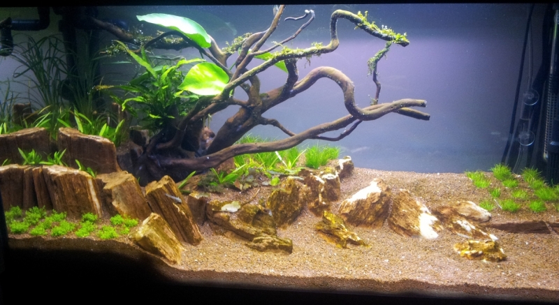 20130328_223234.jpg