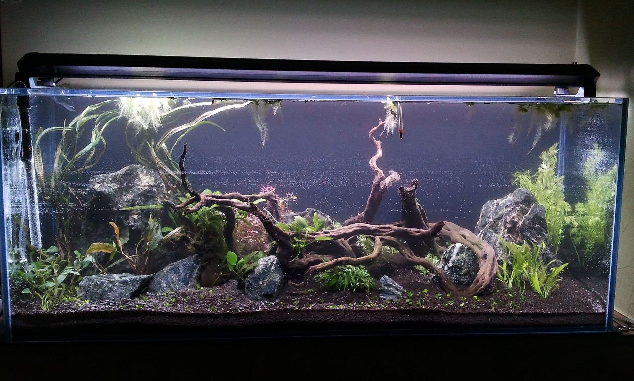 2012-11-16 21.19.18.jpg