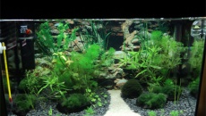 Planowanie baniaczka 45l