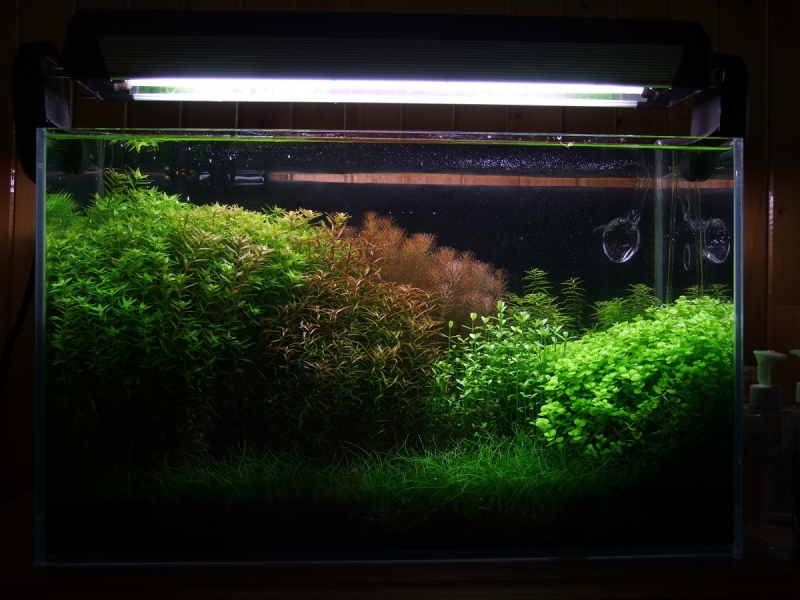 DSCF97699.jpg