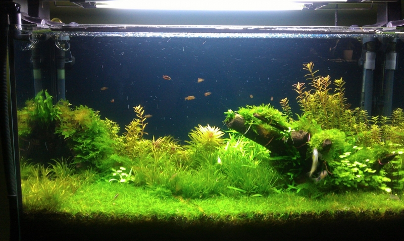 IMAG0139.jpg