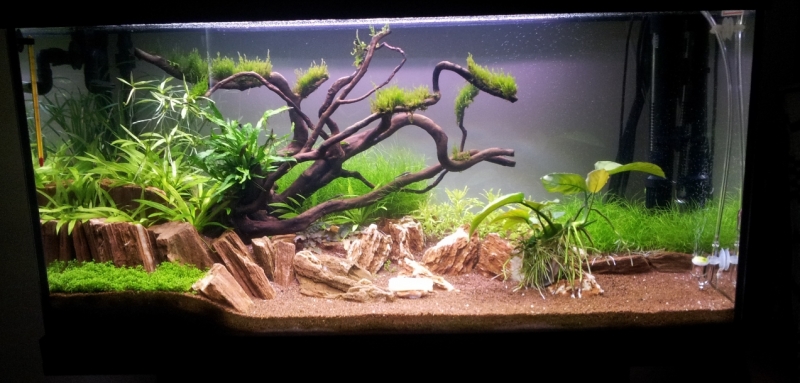 20130501_125155.jpg