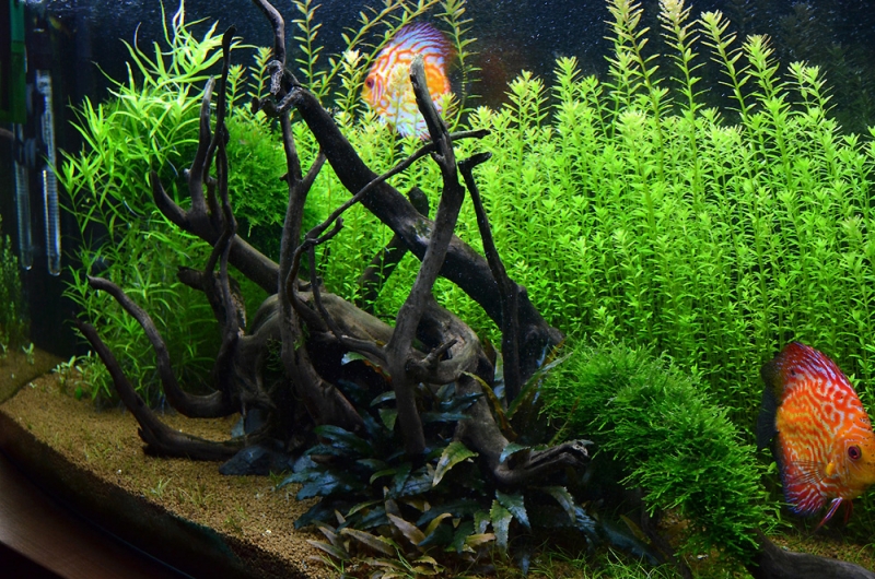 akwa_2013_05_02_2.jpg