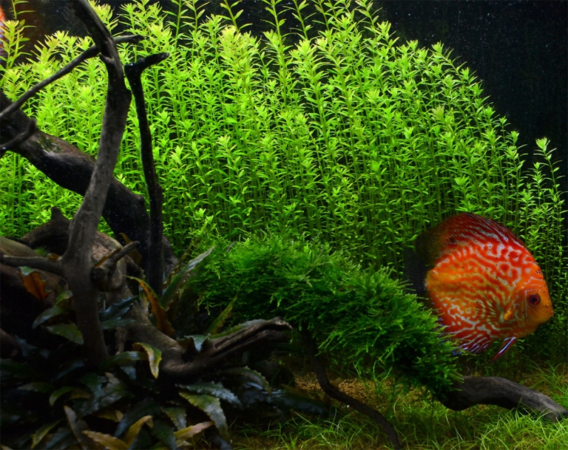 akwa_2013_05_02_3.jpg